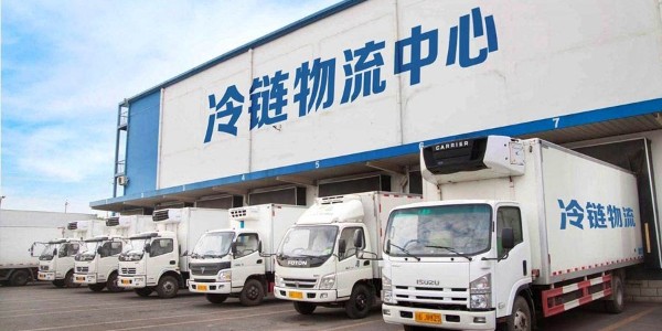 适合冷链运输的塑料周转箱