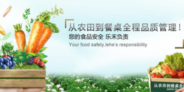 打造完整食材供应链，乐禾食品完成1亿元B轮融资